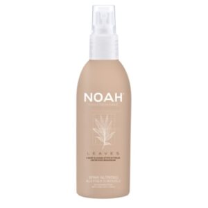 noah palsam