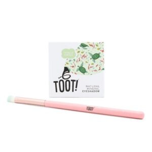 TOOT! Totally Turtle lauvärvi komplekt lastele